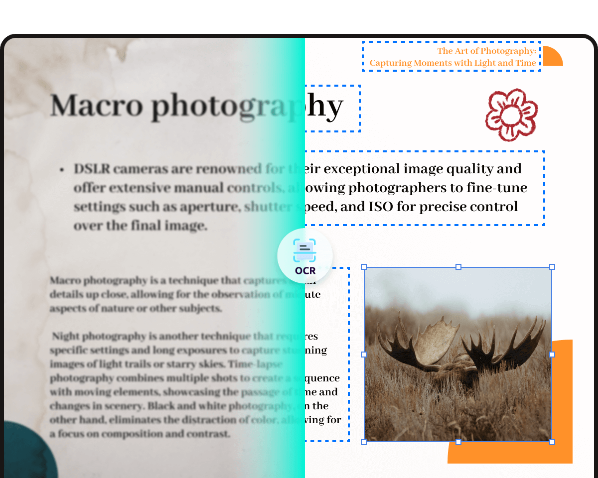 Convert Scanned PDF to Editable File